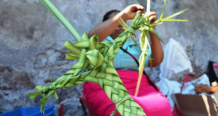 Palmas Semana Santa Cuentepec