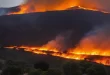 incendios correa del sur
