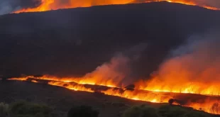 incendios correa del sur