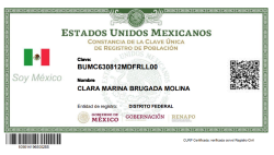 curp en linea